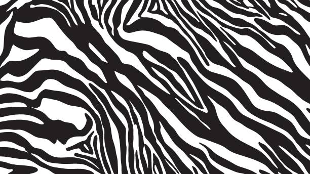 Wild Elegance: Zebra-Inspired Patterns for a Stylish Look vector zebra print stock illustrations