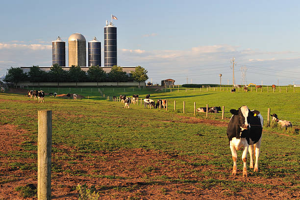 istock Farm in Rural Pennsylvania 172967154