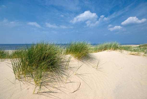 istock Sea, Sand and Dunes 172967528