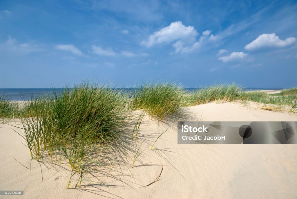 Sea, Sand and Dunes "Grassy dunes next to the sea under a nice clouded sky. Location is near Egmond aan Zee, NetherlandsAll beach and dunes photos" Beach Stock Photo