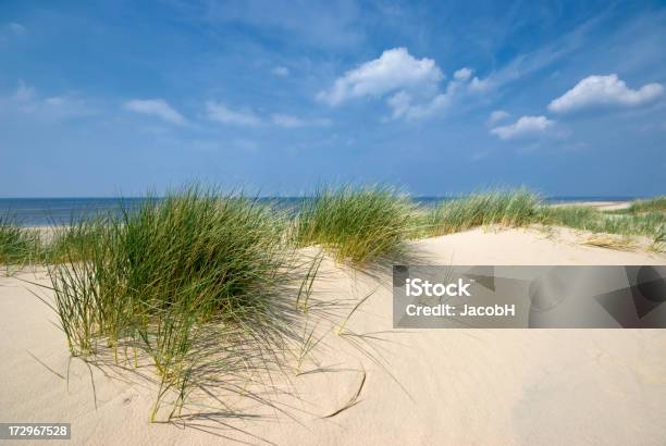 Sea Sand And Dunes Stock Photo - Download Image Now - Beach, Beauty, Beauty In Nature