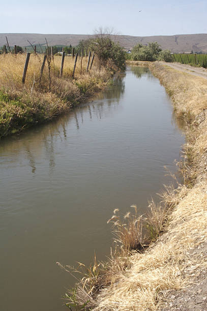 istock Irrigation Canal in Arid Farm Country 172967634