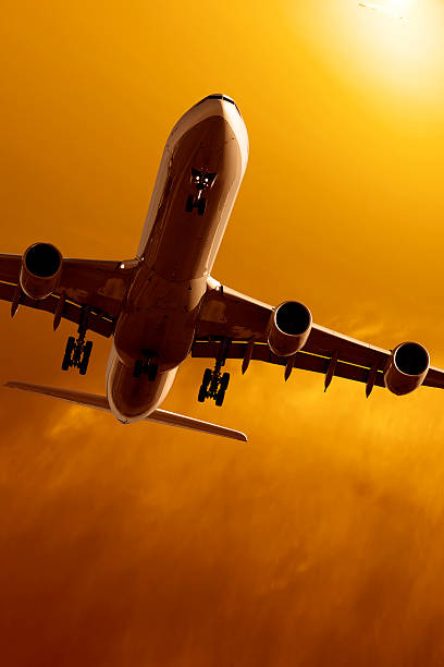 jet airplane landing at sunset
