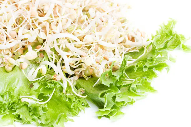 Photo of Natural antioxidant: Healthy Sprouts Salad