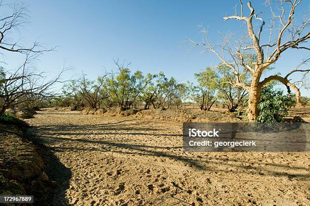 No Leito Seco - Fotografias de stock e mais imagens de Austrália - Austrália, Conservação da água, Leito de rio