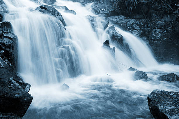 la paisible cascade - waterfall photos et images de collection