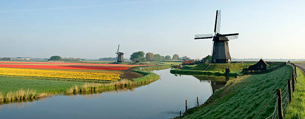 holenderski scena spring - schermerhorn zdjęcia i obrazy z banku zdjęć