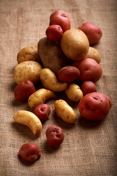istock A variety of uncooked potatoes piled on burlap 172968626