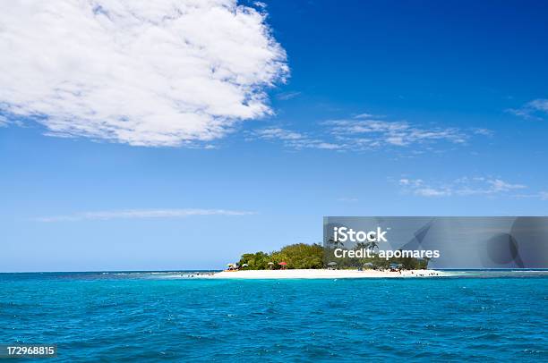 Isola Remota Nelloceano - Fotografie stock e altre immagini di Acqua - Acqua, Albero, Albero tropicale