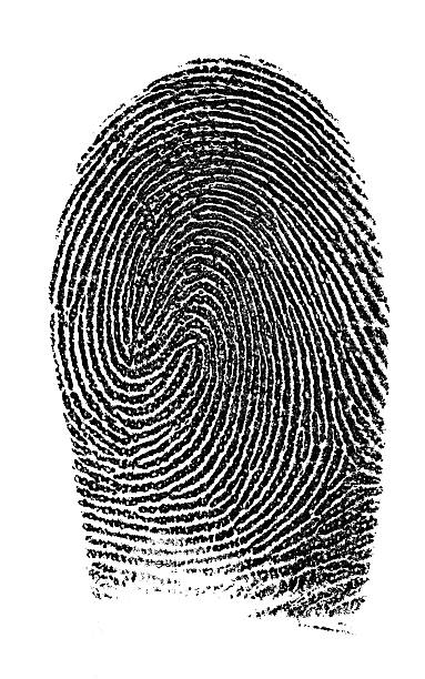 istock Fingerprint photographed on white background. 172969043