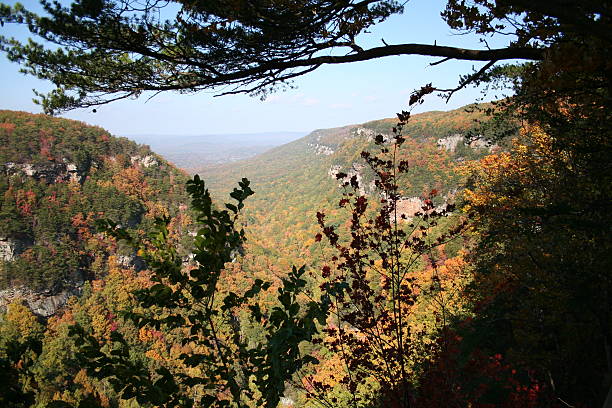 istock Cloudland Canyon State Park, Georgia in Fall Colors 172969060