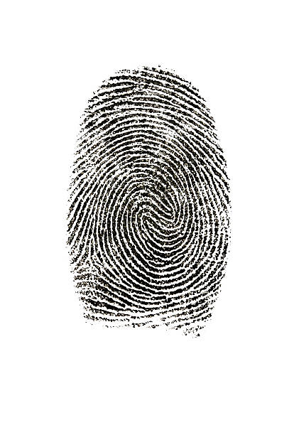 istock Fingerprint photographed on white background. 172969371