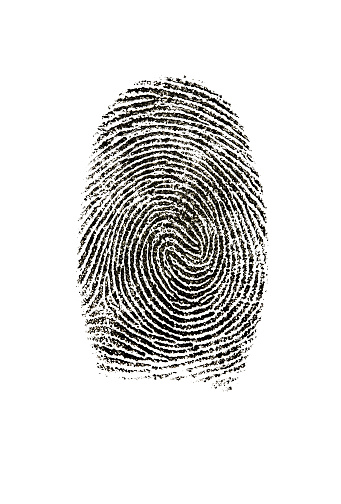 Fingerprint photographed on white background. Made with the right ink used by police to take fingerprints.