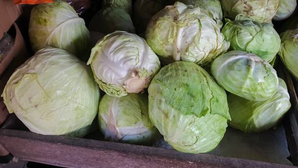 istock pile of fresh cabbages 1729694715