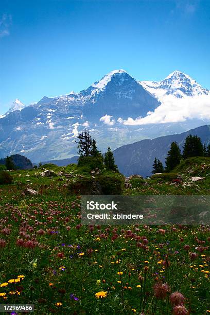 Eiger Stockfoto und mehr Bilder von 2000-2009 - 2000-2009, 21. Jahrhundert, Alpen