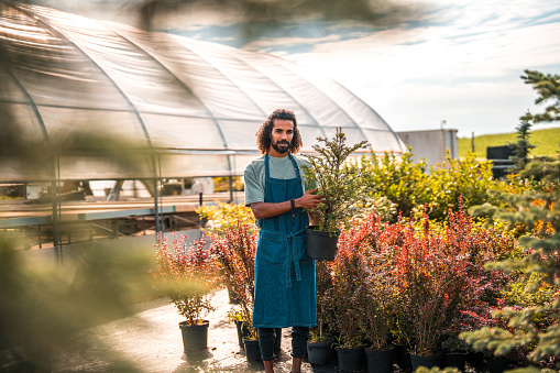 In a garden center, a Middle Eastern gardener, wearing an apron, proudly displays a potted plant.