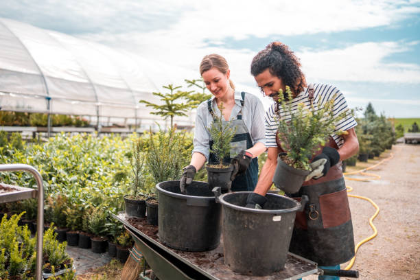 istock Gentle Gardeners in Action 1729700277