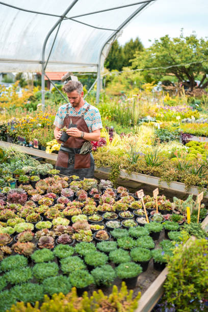 istock Caucasian Gardener Working at the Garden Center 1729700664
