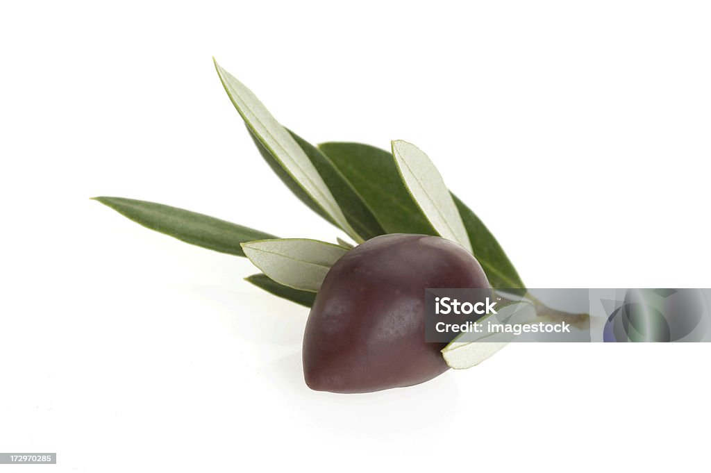 Ветвь с Чёрная маслина - Стоковые фото Антиоксидант роялти-фри