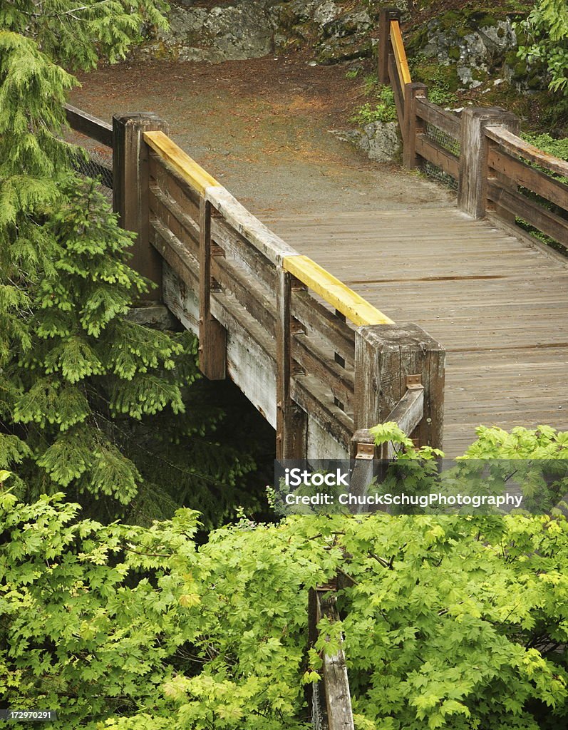 Ponte pedonale tranquilla riserva naturale di percorso - Foto stock royalty-free di Ambientazione esterna