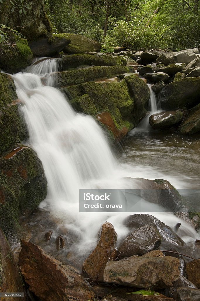 Wodospad w Park Narodowy Great Smoky Mountains - Zbiór zdjęć royalty-free (Appalachy)