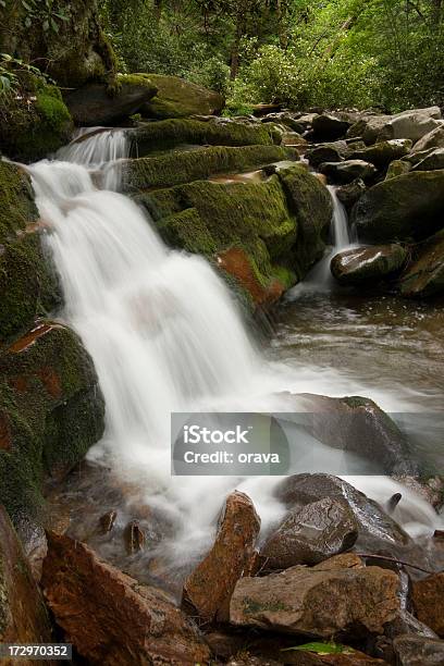 Wodospad W Park Narodowy Great Smoky Mountains - zdjęcia stockowe i więcej obrazów Appalachy - Appalachy, Bez ludzi, Drzewo