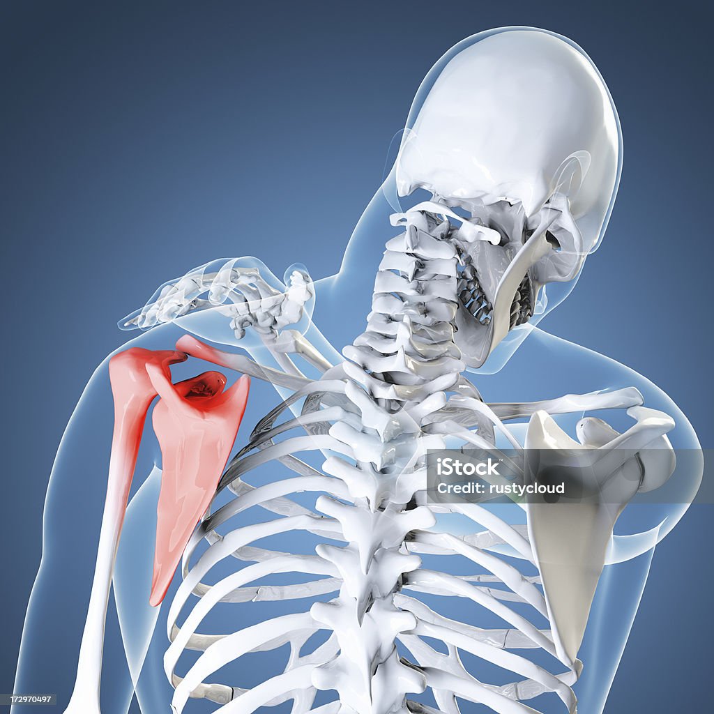Mano sulla spalla - Foto stock royalty-free di Anatomia umana