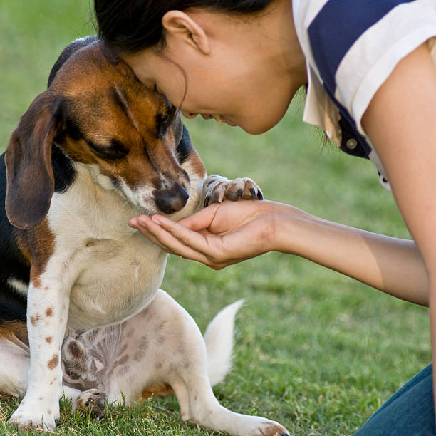 istock girl feeding her dog 172970651
