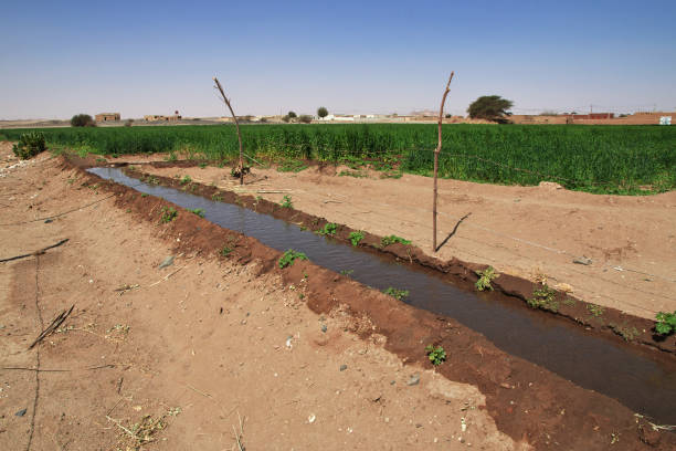 istock Fields in the small village on Nile river, Sudan, Africa 1729707890