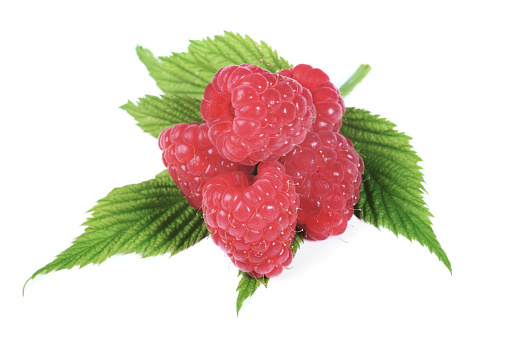 Fresh Raspberry With Mint Leaf Isolated on White Background in Closeup.