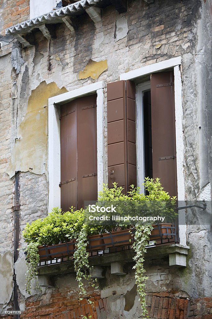 Scatola di finestra fiori di Venezia Italia - Foto stock royalty-free di Ambientazione esterna