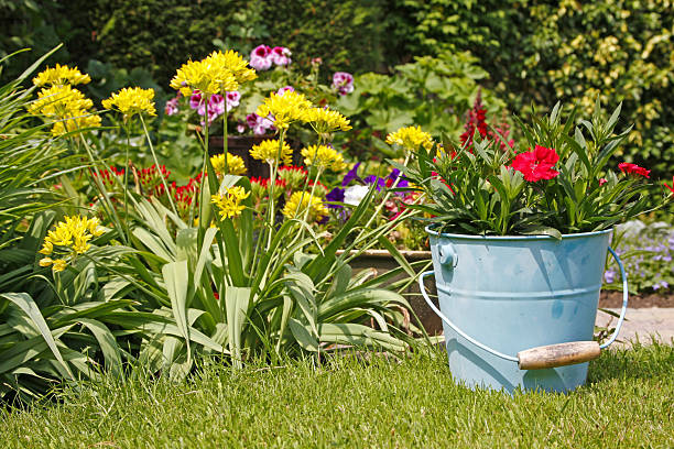 istock Garden flowers # 39 XL 172971178