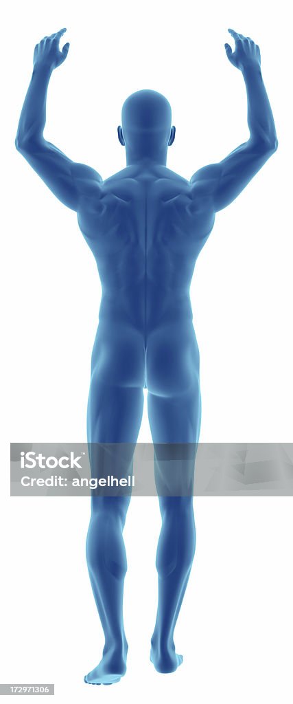 Corpo humano de um homem com braços de Cabeça - Royalty-free De Corpo Inteiro Foto de stock