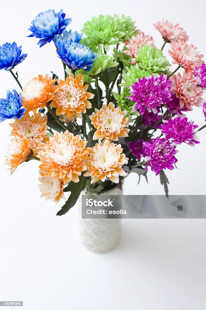 Serie crisantemo tintada - Foto de stock de Azul libre de derechos
