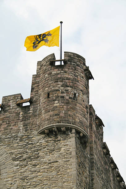 lion des flandres - flag flanders medieval lion photos et images de collection