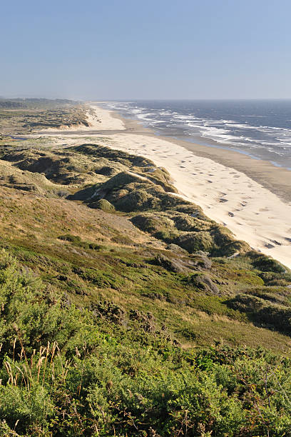 istock Oregon Coast near Florence 172971813