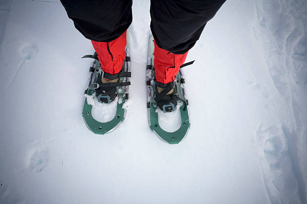 Snowshoes in their element Snowshoes in their element snowshoeing snow shoe red stock pictures, royalty-free photos & images
