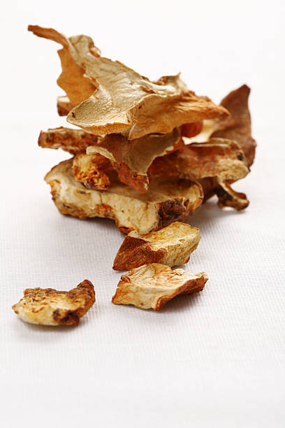 istock Dried lobster mushrooms 172971938