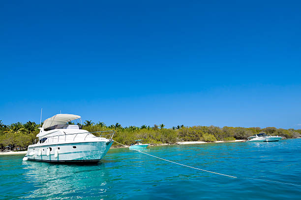 istock Luxury Yachts sailing in a tropical exotic island beach 172972094