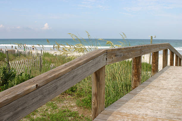 istock Beach Entrance Jacksonville Florida 172972390