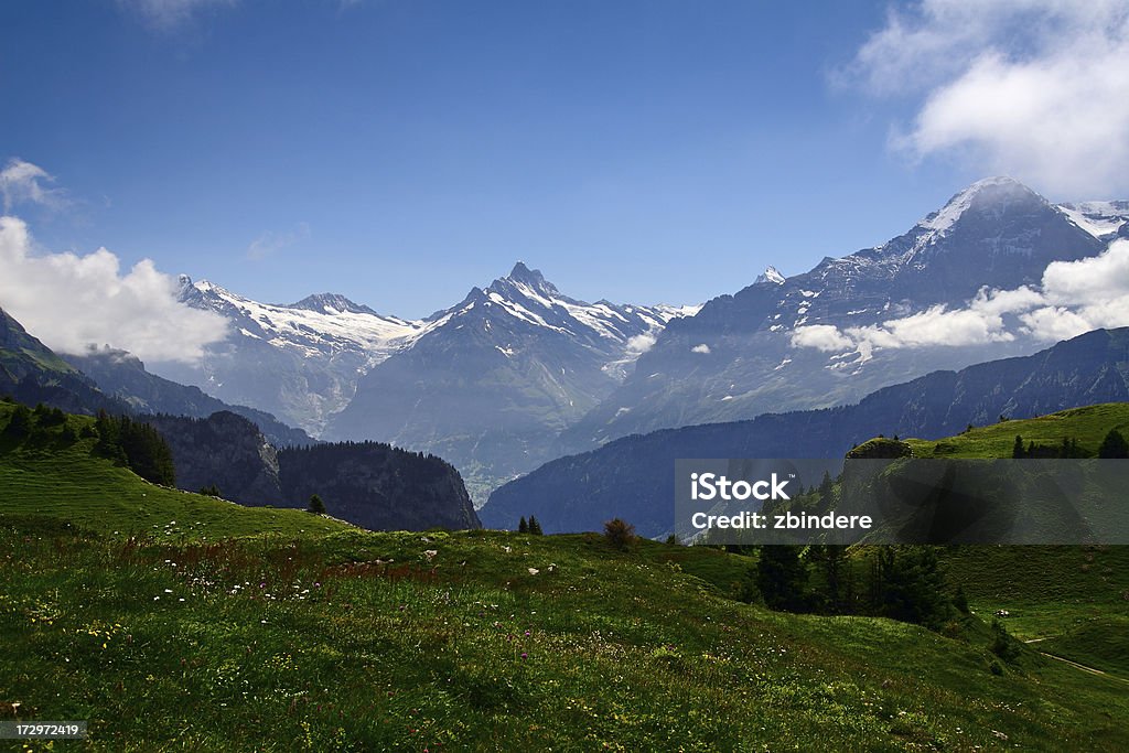 Die Alpen Panorama - Lizenzfrei 2000-2009 Stock-Foto
