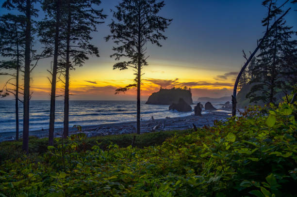 istock Colorful sunset at Ruby Beach in Olympic National Park, Washington state 1729729570