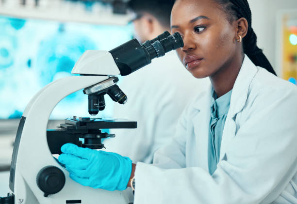 istock Microscope, scientific and female scientist working in a medical study in pharmaceutical lab. Professional, science and African woman researcher doing chemistry research with biotechnology equipment. 1729731329