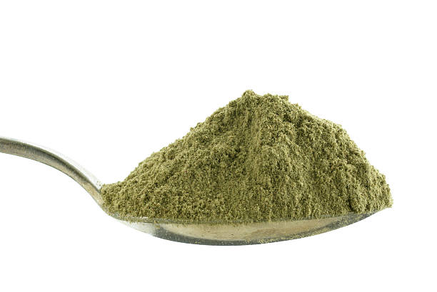 istock heaping spoonful of ground sage 172973181