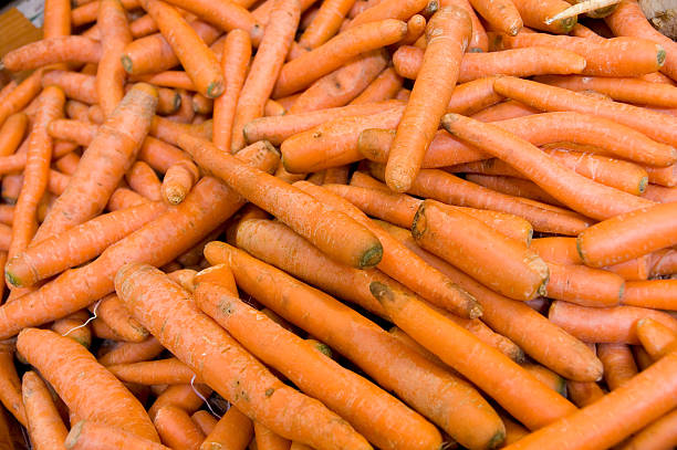 Carrots stock photo