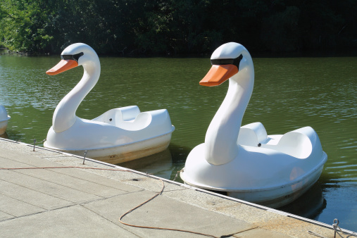 A couple of swan pedal boats lined up at the dock.
