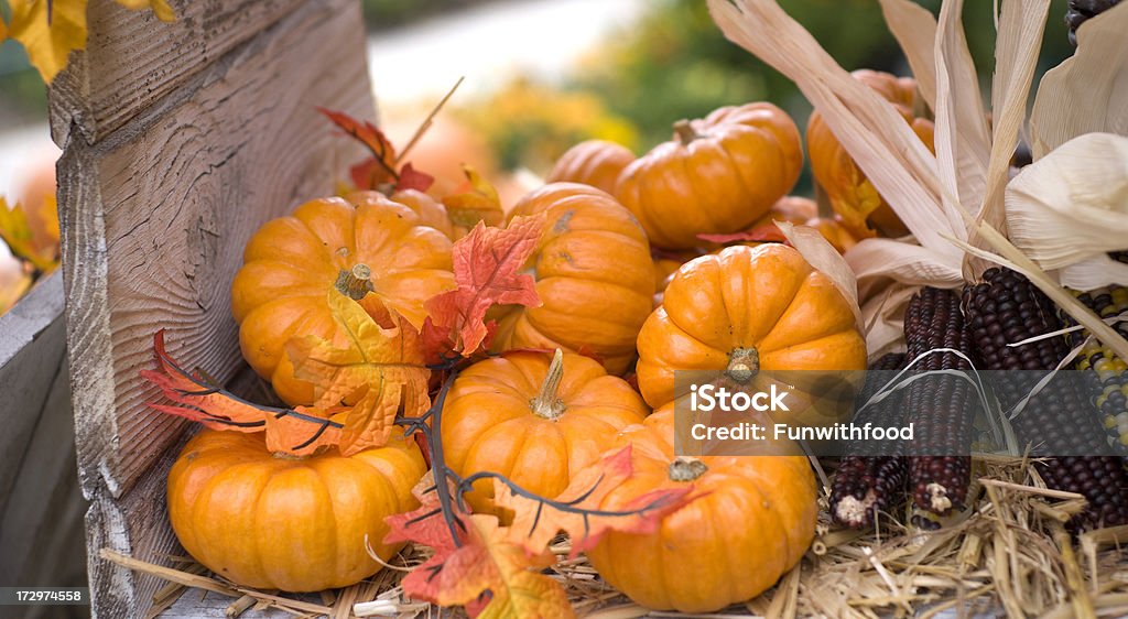 가을 낙엽, Pumpkins, 인도어 옥수수 추수감사절 & 할로윈 장식, 음식 배경 - 로열티 프리 0명 스톡 사진