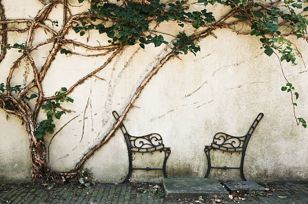 istock Rural; Old wall in a garden 172974709