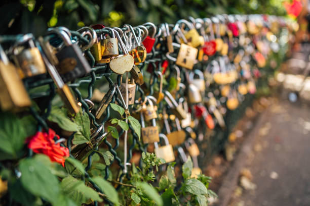istock Love locks in Paris, France 1729748240