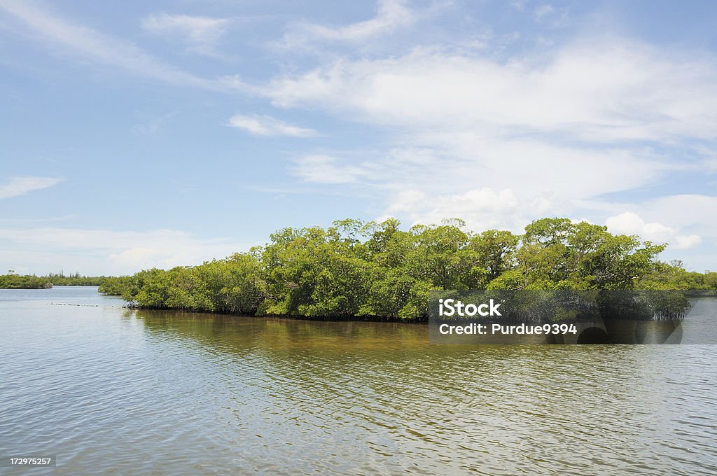 Red Mangrove Island in San Carlos Bay Florida "A red mangrove island in San Carlos Bay between Sanibel Island and Fort Myers Beach, Florida.   RAW source image processed with Nikon Capture NX version 1.2" Florida - US State Stock Photo